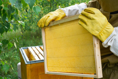 Midsection of man working in garden