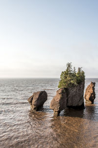 Rocks on sea shore against sky