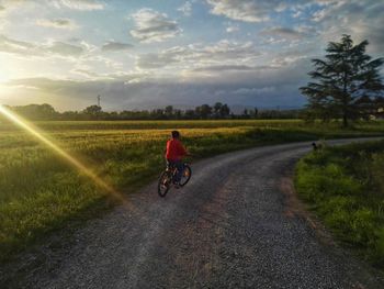 Rear view of person riding bicycle on road