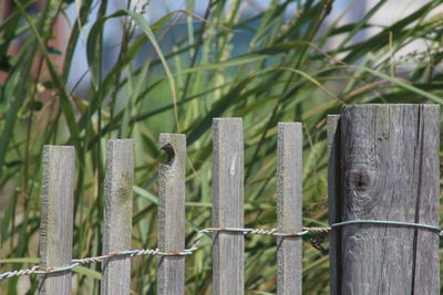 Close-up of wooden post on field