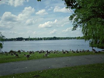 Scenic view of lake against cloudy sky