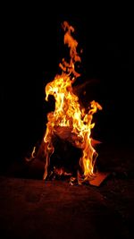 Bonfire on wooden log at night