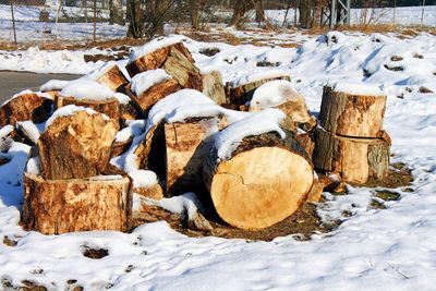 Stack of logs on snow covered field