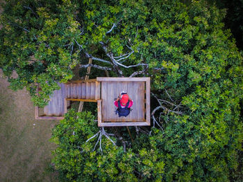 High angle view of house in forest