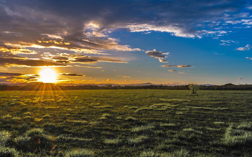 Scenic view of field against sky during sunset