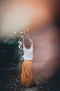 Rear view of woman holing branch of tree while standing in forest