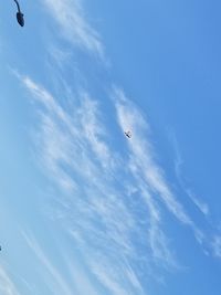 Low angle view of bird flying in sky