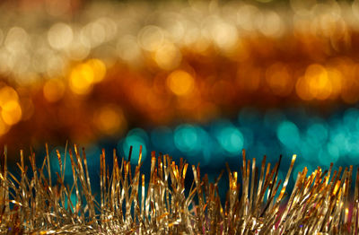 Close-up of defocused lights