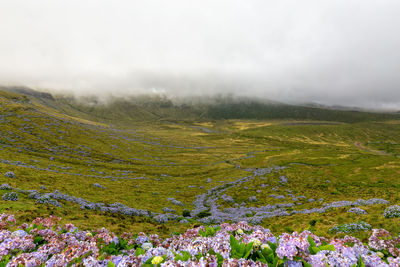 Scenic view of landscape against sky