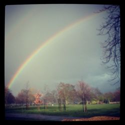 Scenic view of rainbow over field