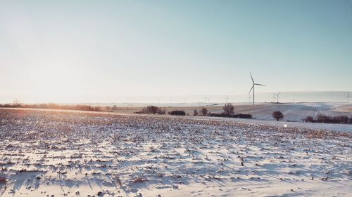 Field in winter against clear sky