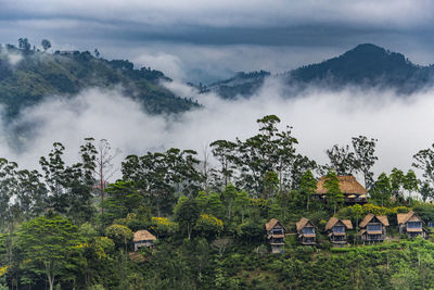 Houses of a tea lodge above ella in sri lanka