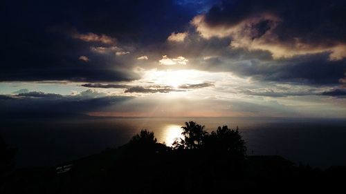 Silhouette trees by sea against sky during sunset