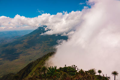 Mount muhabura and mount gahinga seen from mount sabyinyo in mgahinga gorilla national park, uganda