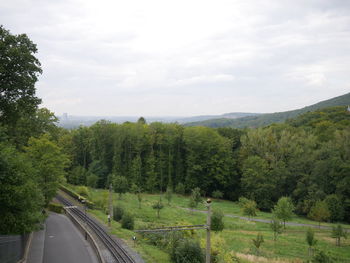 Road by trees against sky