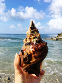 Close-up of hand holding ice cream at beach against sky