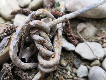Close-up of rusty chain on rock