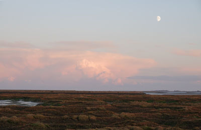 Scenic view of marshland against sky during sunset