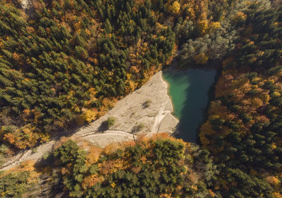 High angle view of trees on mountain during autumn