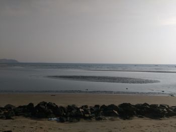 Scenic view of beach against clear sky