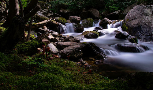 Stream flowing through rocks in forest