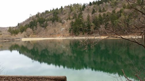 Reflection of trees in lake