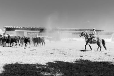 Group of people riding horse