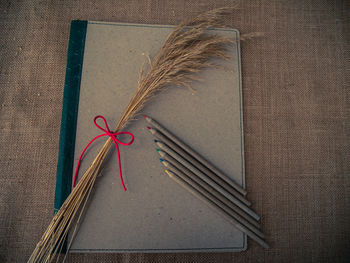 High angle view of book and pencil with stalk on table