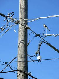 Low angle view of bird perching on cable against clear sky