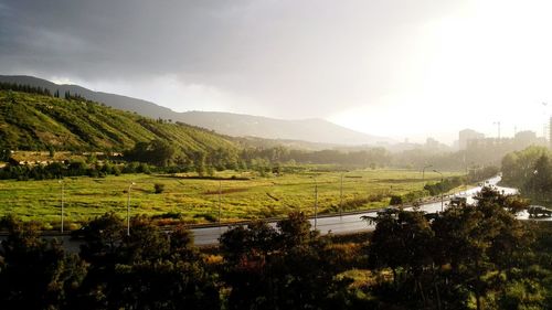 Scenic view of field against sky