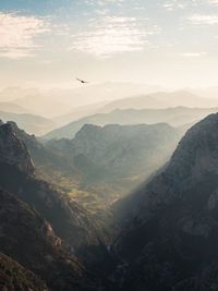 Bird flying over mountains against sky