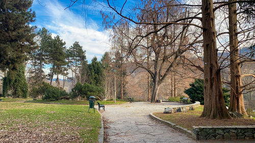 Man walking on footpath in park