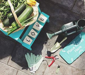 Directly above shot of vegetables and work tools on sidewalk