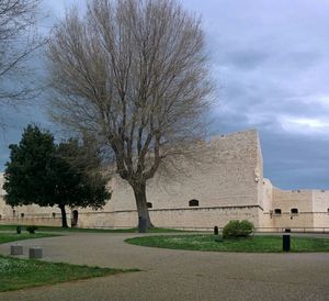Built structure with trees in background