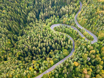 Winding road from high mountain pass, in summer time. aerial view by drone. romania