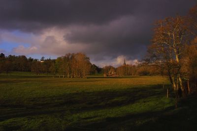 Scenic view of field against sky