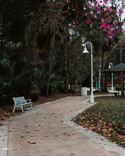 Empty bench in park