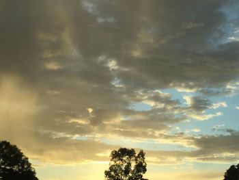 Low angle view of trees against cloudy sky