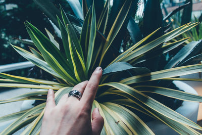 Cropped hand of woman touching plants