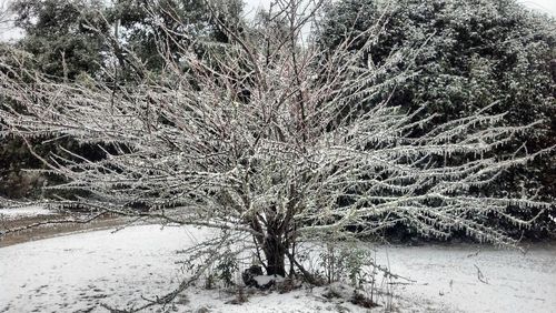 Snow covered field