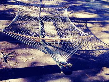 High angle view of bird in cage