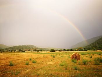 Scenic view of rainbow over field against sky