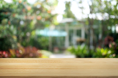 Close-up of food on table in yard