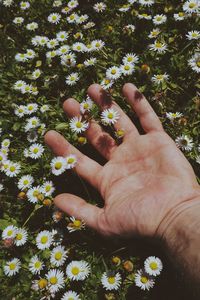Cropped hand of man amidst flowering plants outdoors
