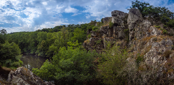 Plants and rocks on land against sky