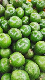 Full frame shot of blueberries