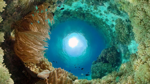 cave