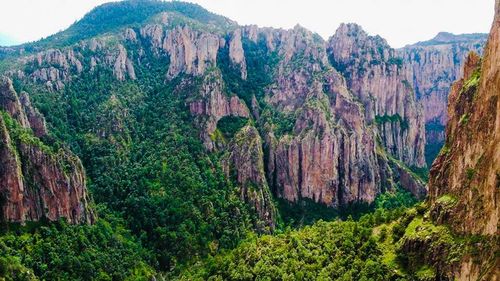 Panoramic view of trees in mountains