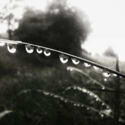 Close-up of water drops on leaf