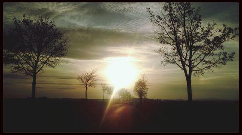 Silhouette of trees on landscape against sunset sky